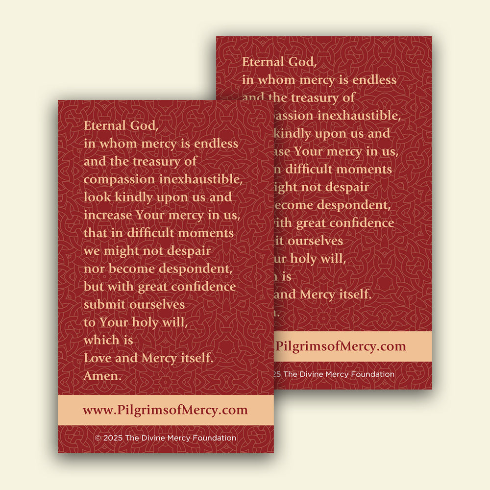 Divine Mercy Prayer Cards (Pack of 20 Cards)